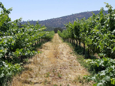 MBslide01.jpg